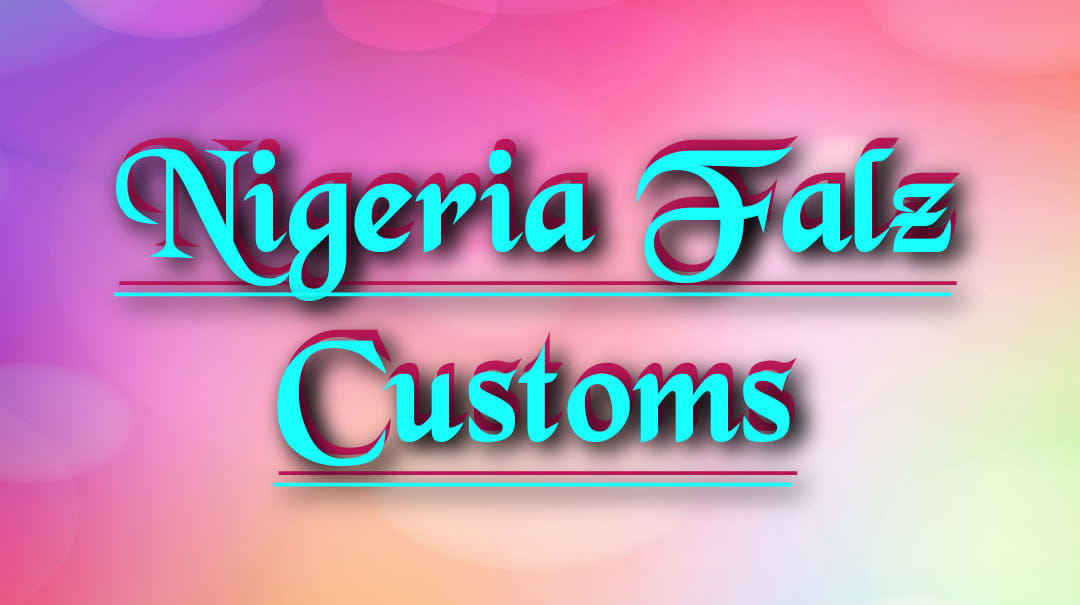 Nigeria Falz Customs